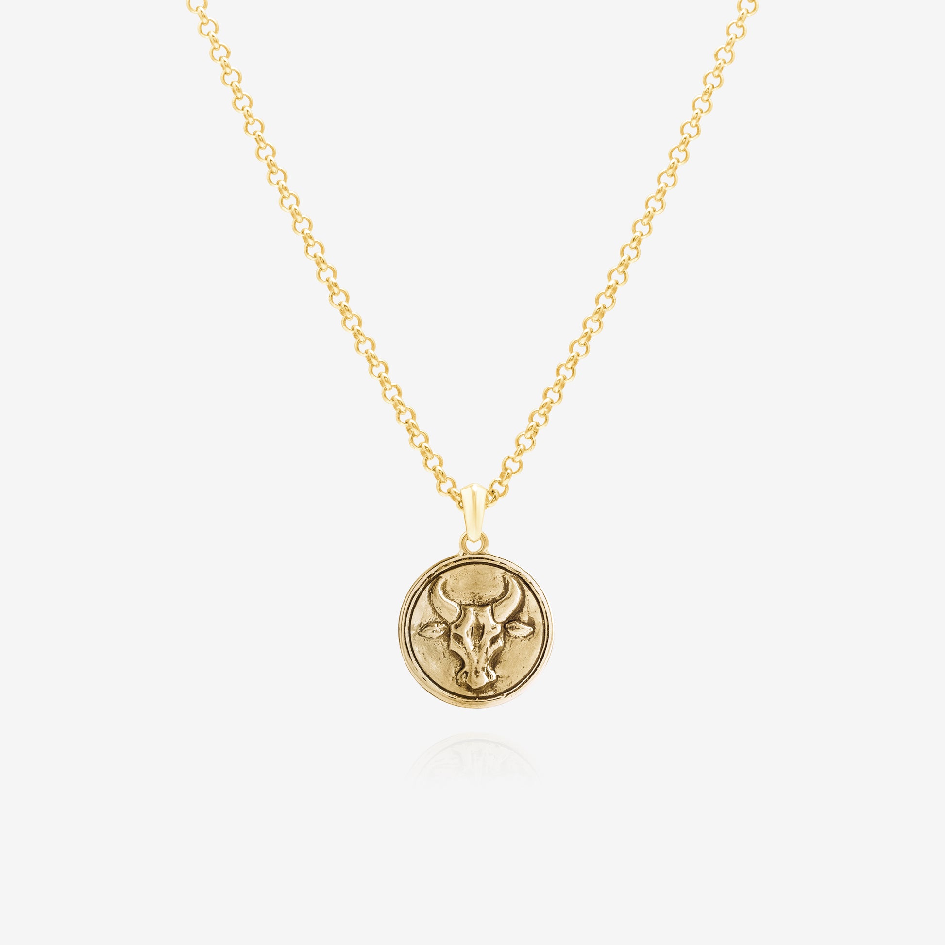 Capricorn zodiac sign pendant necklace in gold, unisex jewelry NIK Jewellery Canada
