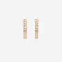 Nik Jewellery 14K yellow gold diamond pavé hoop earrings, front view.