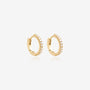 Nik Jewellery Aurelia 14K gold diamond pavé hoop earrings shown as a pair, front view on white background.