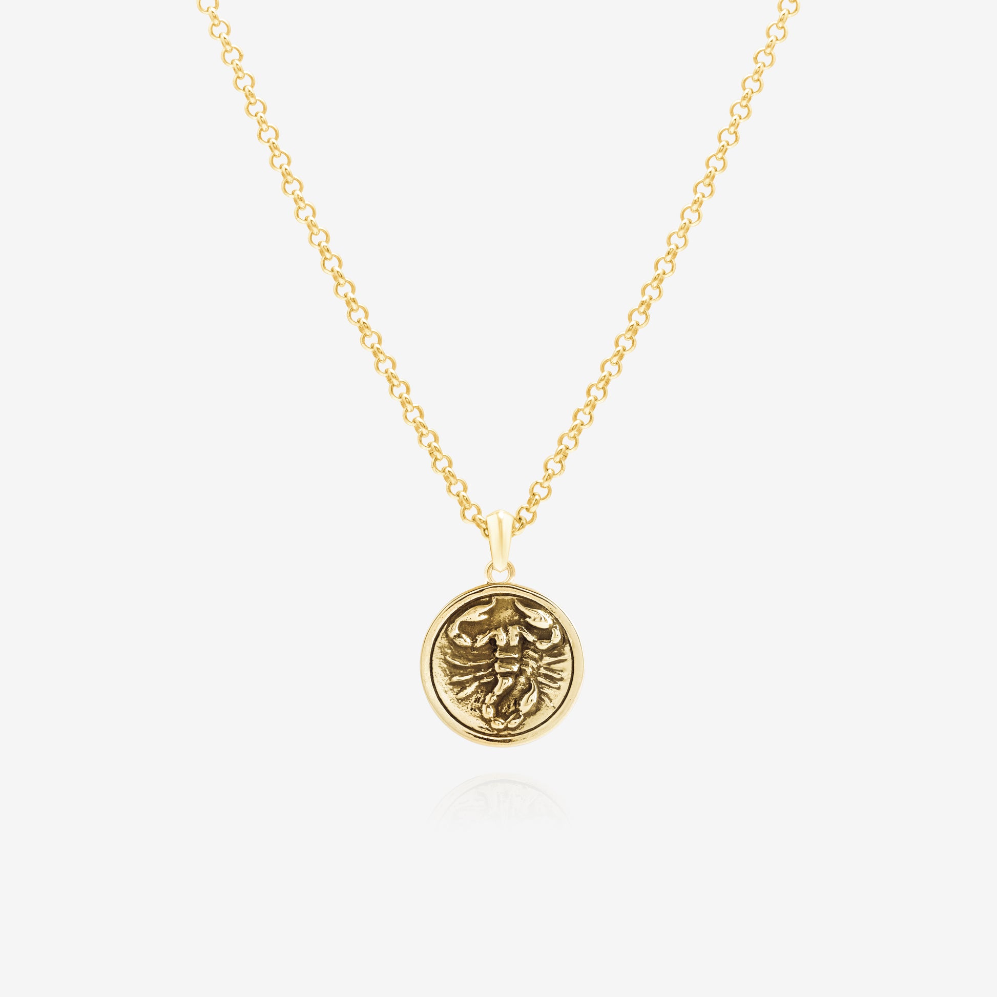 Scorpio zodiac sign pendant necklace in gold, unisex jewelry NIK Jewellery Canada